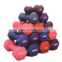 20kg Free Weight Lifting Gym Equipment Mancuernas 10Kg Weights Hantel Hexagon Hexagonal Dumbell Rubber Hex Dumbbells Sets thumbnail-3