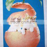 Cartoon Polar Fleece Blanket thumbnail-1