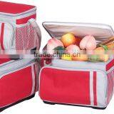 PEVA Lining Fit Health Food Cool Bag, Insulated Cooler Bag