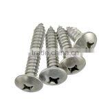 Stainless Steel Cross Flat Head Tapping Screw Thumb Head Tapping Screw thumbnail-5