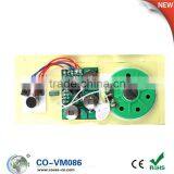 Musical Voice Module/ USB Music Module/recordable Sound Module thumbnail-1