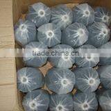 Rubber Elastic Thread Covered Polyester Yarn thumbnail-4