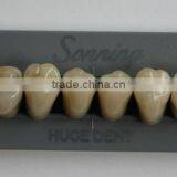 Huge Dental Sonning Full Set Acrylic Denture Teeth thumbnail-6