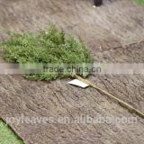 various new kinds pine tree branches for Christmas decoration