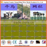 Graduated Mesh Galvanized Field Fence