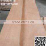 Natural Crown Cut Red Color Olive Wood Veneer thumbnail-3