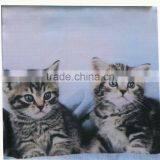 Photo Printing 100% Polyester Cushion Cover