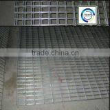 Electro Galvanized Square Iron Welded Wire Mesh