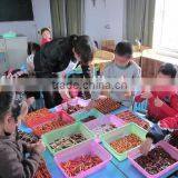Buddha Beads Making Machine thumbnail-5