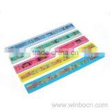 30cm 3D Straight Ruler thumbnail-1