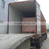 Painting China Carbon Frame thumbnail-6