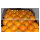 FRESH VALENCIA ORANGES thumbnail-2