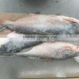 Frozen Pangasius Whole round