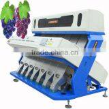 Best Sell High Output 448 Channels ISO Certificated Dried Currant Ccd Color Sorter