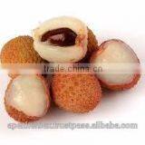 Litchi Juice Powder / Lichi Powder Spray Dried / Litchi Powder