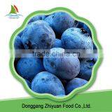 Sale a Delicious Frozen Blueberry thumbnail-1
