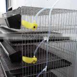 Layer Assemble Quail Cage With Assembling Tools For Sale thumbnail-3