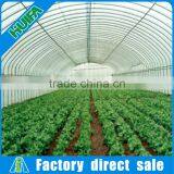 Simple Frame Single-Span Greenhouses Agriculture Agriculture Related Products thumbnail-1