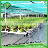 Greenhouse hydroponic growing system