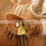 Animal Control High Frequency Rfid Ear Tag / Identification Tag thumbnail-1