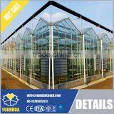 Venlo Type Glass Greenhouse for Vegetable and Flowers Growing thumbnail-3