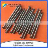 2.5 Inch Common Wire Nails Factory Low Price thumbnail-4