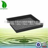 Cheap High Quality PS Seed Tray for Rice Planting With no Cells