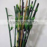 Spiral Lucky Bamboo Pole/dracaena Wandering, Decorative Bamboo Plant thumbnail-2