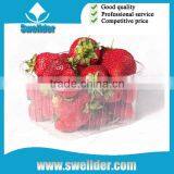 OEM Blister Strawberry Plastic Tray thumbnail-1