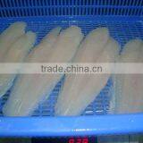 FRESH FROZEN WELL TRIMMED PANGASIUS WHITE FILLET OF ALO SEAFOOD CO., thumbnail-1