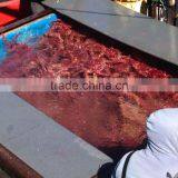 Exportadora Global Seafood Chile S.a. company overview - view 2 thumbnail