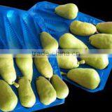 2016 Hot Sales Disposable Plastic Fruit Liners thumbnail-3