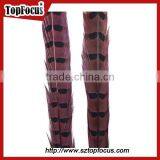 High Quality for Showgirl Carnival Costume Ringneck Tail Pheasant Feathers thumbnail-2