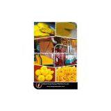 Maize Grits Machine,automatic Flour Packing Machine thumbnail-2