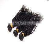 Virgin Hair Wholesale Suppliers 8-30" Mongolian Kinky Curly Hair thumbnail-3