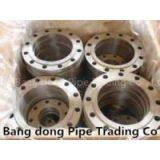 Flat Welded Steel Flange