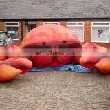 Inflatable Crab for Advertising thumbnail-1