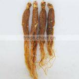 Red Ginseng Root / Panax Ginseng / Ninjin / Insam With Tail Tonic Body