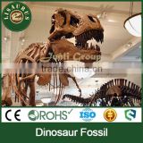 JLDF-0079 Fiberglass Sculpture Of Sciences Skeleton Dinosaur Fossil