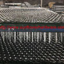 Twisted Umbrella Head Roofing Nails thumbnail-4