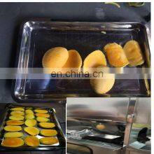 Kiwi Peeling Machine With Promotional Price thumbnail-4