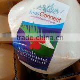 Drinking Coconut thumbnail-1