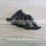 stainless self tapping screw for plastic manufacturer china