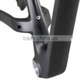 Top Selling Mountain Bike 29er Plus Mtb Carbon Frame 29+ With Thru Axle 148*12 Max Tire 3.0 thumbnail-5