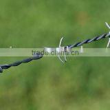 Barbed Iron Wire