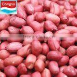 Red Skin Peanut Kernels