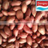 Peanut Kernel With Red Skin