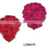 Peacock Feather Tails Pad LZBM075 thumbnail-1