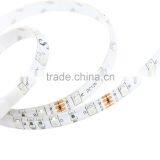 RGB LED Light 5M Waterproof Epoy 3528 300 SMD LED Strip With Remote Control Fita Led WS2812B thumbnail-5