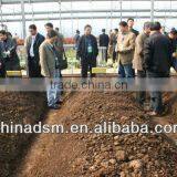 High Efficiency Chicken Manure Organic Fertilizer Processing Technology,dashan Hot Selling
